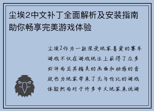 尘埃2中文补丁全面解析及安装指南 助你畅享完美游戏体验